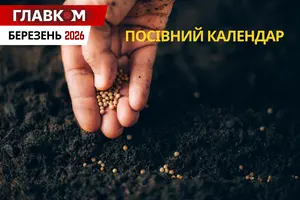 Посівний календар на березень 2026: гаряча пора на підвіконнях та перші кроки в саду
