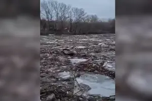 Тонни сміття пливуть Тисою у бік Угорщини