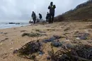 У Криму зафіксовано забруднення узбережжя мазутом