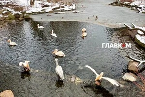 Прогноз погоди на 26 лютого