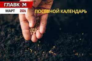Посевной календарь на март 2026: горячая пора на подоконниках и первые шаги в саду