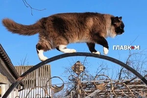 У Києві без опадів