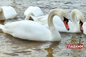 У Києві хмарно з проясненнями