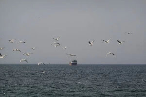 Іран заявив, що судна, які проходять через Ормузьку протоку, будуть підпалені