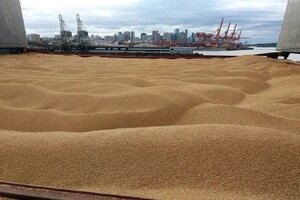 Білорусь продає крадене українське зерно, видаючи його за своє