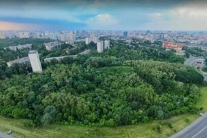 Захисники Протасового Яру після поразки в апеляції готують нову битву за заказник 