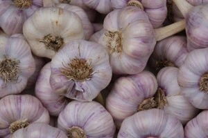Дешевий імпорт із Китаю захоплює ринок часнику України