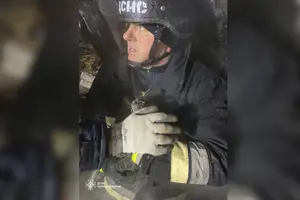 Кота виявили під час розбору зруйнованих конструкцій