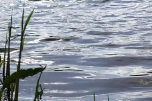 Тіла дітей віком 5 та 6 років, за допомогою човна, доставлено на берег 