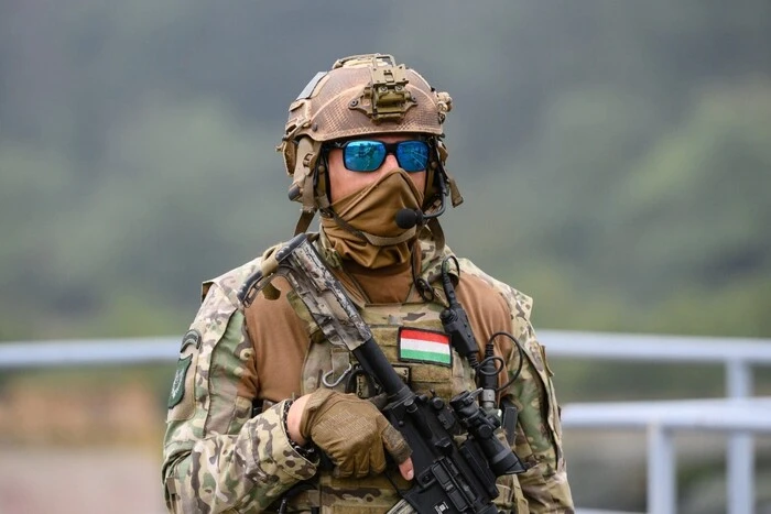 Орбан розмістив військових біля енергетичних об’єктів: причина