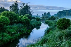 За словами представниці Єврокомісії, відновлення водно-болотних угідь може створити природний оборонний бар’єр