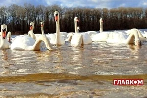 Цього року метеорологічна весна настала в межах кліматичної норми