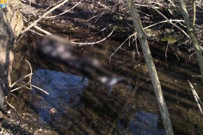 На Львівщині у водоймі знайдено тіло військового