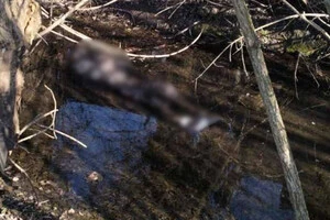 На місці події працюють правоохоронці, які з’ясовують усі обставини події