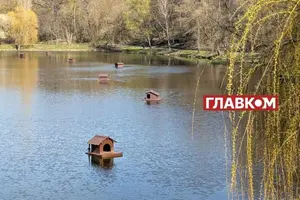 Синоптикиня попередила про похолодання в Україні