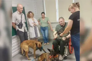 Вчені розповіли, як собаки допомагають відновленню після стресу