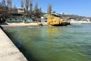 В Одесі море пожовкло та смердить: екологи попереджають про небезпеку (відео)