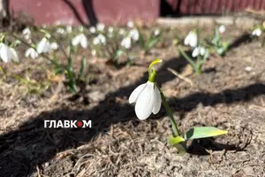 Прогноз погоди на 20 березня