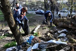 До робіт залучені комунальні підприємства, що входять до складу КО «Київзеленбуд», КП «Плесо» та інші