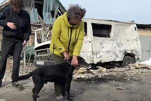 Собака дивиться на згарище, виє та рветься з повідця