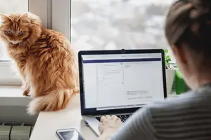 Через війну і нафтову кризу уряди можуть повернути дистанційну роботу