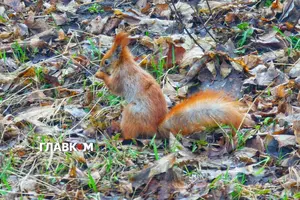 Прогноз погоди на 22 березня