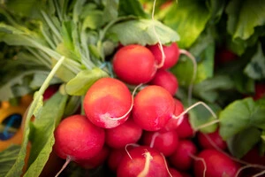 Фермерські продукти можна буде придбати у всіх районах міста