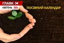 Посівний календар на квітень 2026: час великої висадки та пробудження відкритого ґрунту