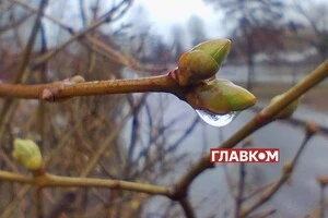 В Україні місцями дощитиме: погода на 26 березня