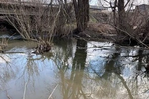 Екологи закликали мешканців Бучі та Ірпеня долучитися до спільних зусиль з охорони довкілля