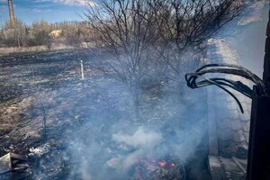 У Боярці сталася пожежа, спричинена загоранням трави