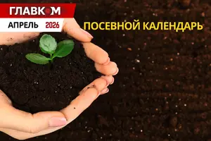 Посевной календарь на апрель 2026 года: график посадки овощей и цветов