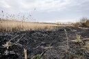 Пожежа біля зони відпочинку «Мир»: у Святошинському районі вигоріло пів гектара сухостою