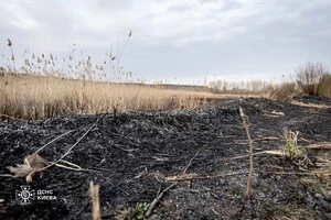 Попри наявність за декілька десятків метрів спеціально облаштованих альтанок для приготування шашликів, громадяни розпалювали багаття безпосередньо поміж дерев