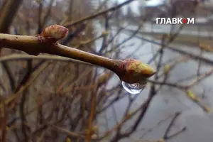 Прогноз погоди на 31 березня