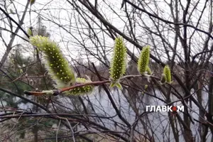 Вербна неділя у 2026 році припадає на 5 квітня