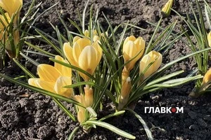 Найтепліше було 27 березня: стовпчики термометрів піднялися до позначки +17,8°С