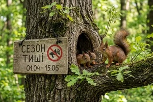 Сторонній шум може налякати малюків та їхніх батьків і навіть змусити дорослих особин залишити гніздо або нору