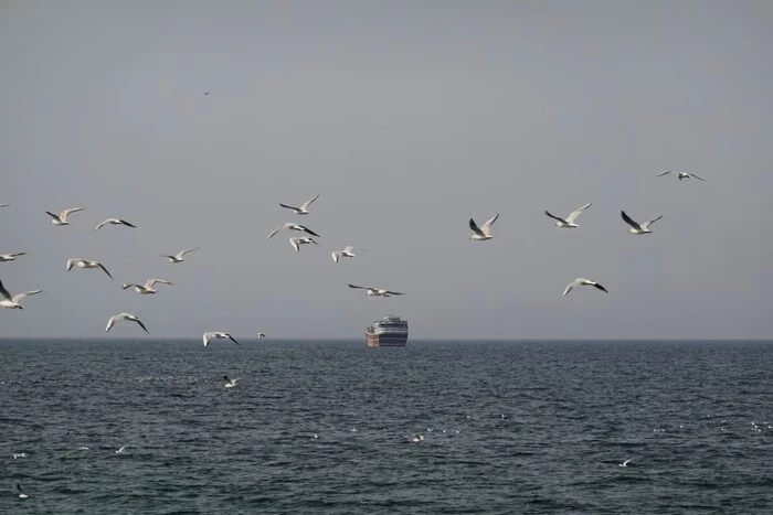 ООН: Закриття Ормузької протоки спричинило різке падіння темпів світової торгівлі