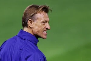 Ерве Ренар може змінити Близький Схід на Африку