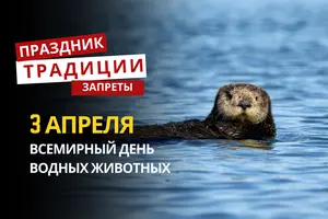 3 апреля: какой сегодня праздник, традиции и запреты