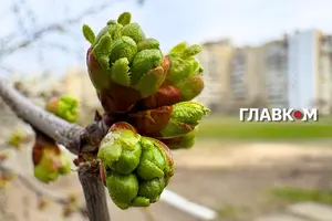 В Україні місцями короткочасний дощ, гроза: погода на 4 квітня 2026