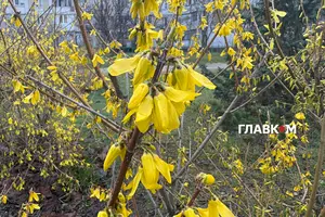Прогноз погоди на 5 квітня