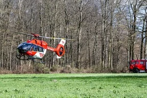 Причиною падіння дерева в поліції вважають сильний вітер, однак розслідування точних причин триває
