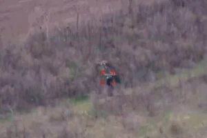 «Фенікс» знищив рідкісну РЛС «Зоопарк» і РСЗВ за одну ніч