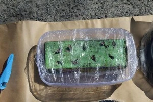 Неподалік газогону «Турецький потік» було знайдено вибухівку