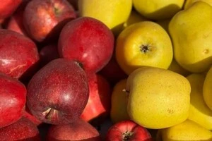 Для придбання свіжих продуктів також можна відвідати комунальні ринки