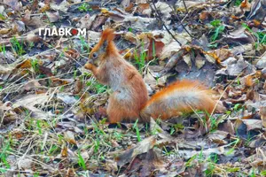 Прогноз погоди на 7 квітня