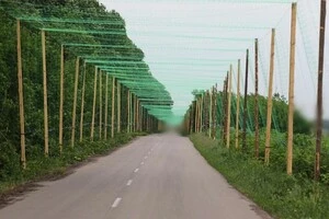 За словами Свириденко, рішення Кабміну дозволить одразу розпочати ремонтні роботи на пріоритетних напрямках