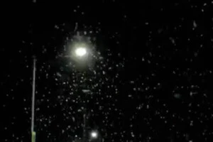 Львівщину засипає снігом 